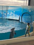 新江ノ島水族館に投稿された画像（2026/2/11）