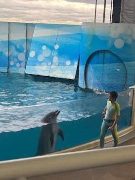 新江ノ島水族館に投稿された画像（2026/2/11）
