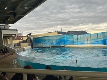 新江ノ島水族館に投稿された画像（2026/2/11）