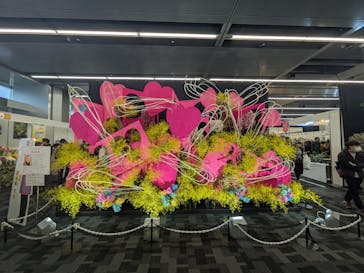 世界らん展2026-花と緑の祭典-に投稿された画像（2026/2/11）
