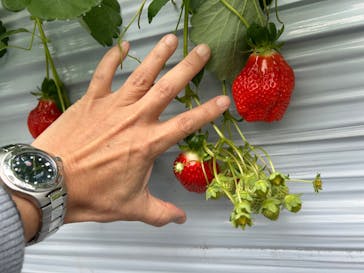 長沢ファーム　育種苗施設に投稿された画像（2026/2/11）