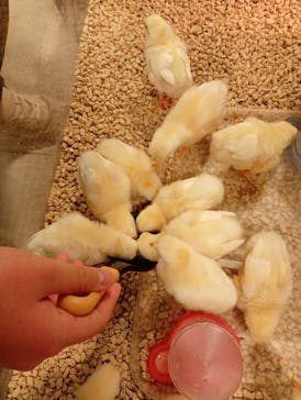 Moff animal world BIGHOPガーデンモール印西店に投稿された画像（2026/2/11）