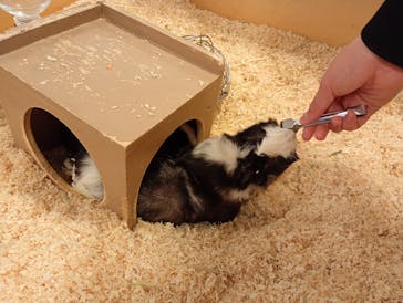 Moff animal world BIGHOPガーデンモール印西店に投稿された画像（2026/2/11）