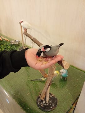 Moff animal world BIGHOPガーデンモール印西店に投稿された画像（2026/2/11）