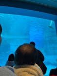 名古屋港水族館に投稿された画像（2026/2/11）