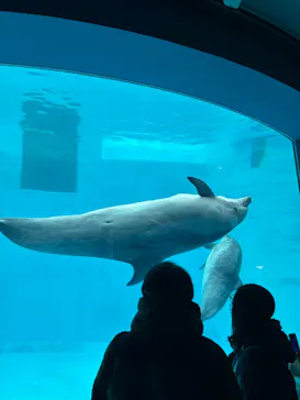 名古屋港水族館に投稿された画像（2026/2/11）
