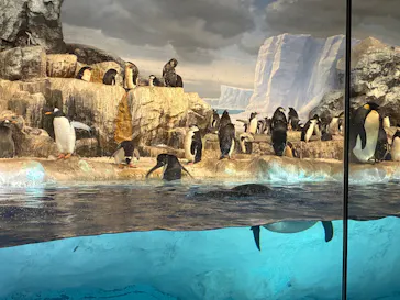 名古屋港水族館に投稿された画像（2026/2/11）