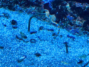 サンシャイン水族館に投稿された画像（2026/2/11）