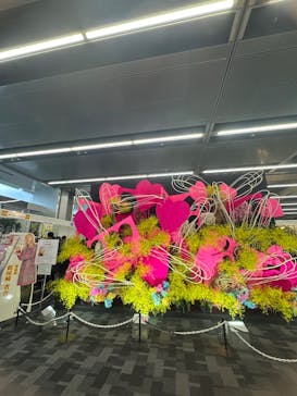 世界らん展2026-花と緑の祭典-に投稿された画像（2026/2/11）