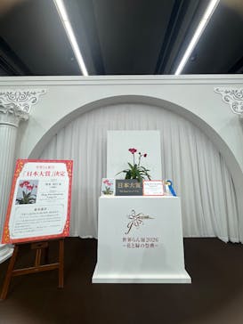 世界らん展2026-花と緑の祭典-に投稿された画像（2026/2/11）