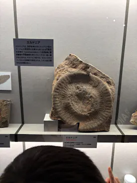 特別展「大絶滅展―生命史のビッグファイブ」に投稿された画像（2026/2/11）