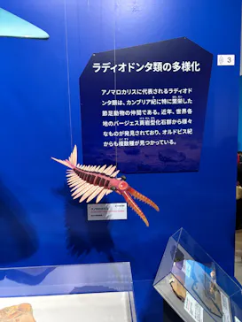 特別展「大絶滅展―生命史のビッグファイブ」に投稿された画像（2026/2/11）