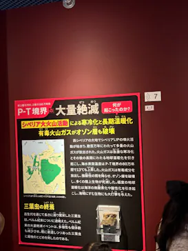 特別展「大絶滅展―生命史のビッグファイブ」に投稿された画像（2026/2/11）