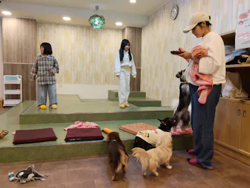 いぬカフェRio 吉祥寺店に投稿された画像（2026/2/11）