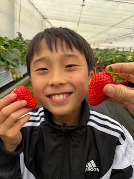 熱田農園Strawberry54に投稿された画像（2026/2/11）