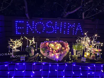 江の島シーキャンドルに投稿された画像（2026/2/11）