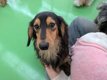 つくばわんわんランドに投稿された画像（2026/2/11）