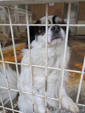 つくばわんわんランドに投稿された画像（2026/2/11）