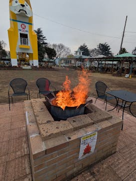 つくばわんわんランドに投稿された画像（2026/2/11）