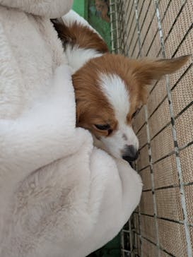 つくばわんわんランドに投稿された画像（2026/2/11）