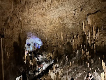 おきなわワールドに投稿された画像（2026/2/11）