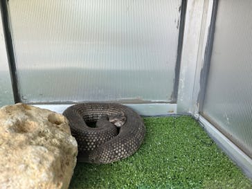 おきなわワールドに投稿された画像（2026/2/11）