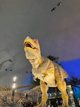 福井県立恐竜博物館に投稿された画像（2026/2/11）