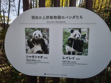 恩賜上野動物園に投稿された画像（2026/2/11）