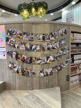 猫カフェモカ 京都河原町店に投稿された画像（2026/2/11）