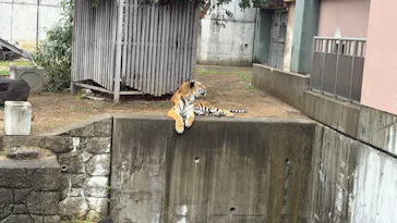 天王寺動物園に投稿された画像（2026/2/11）