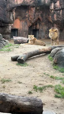天王寺動物園に投稿された画像（2026/2/11）