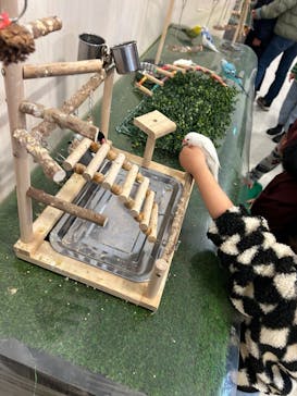 Moff animal world BIGHOPガーデンモール印西店に投稿された画像（2026/2/11）