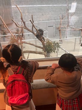 淡路ファームパーク イングランドの丘に投稿された画像（2026/2/11）