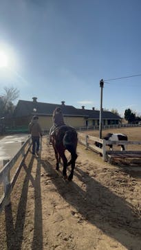 淡路ファームパーク イングランドの丘に投稿された画像（2026/2/11）