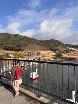 淡路ファームパーク イングランドの丘に投稿された画像（2026/2/11）