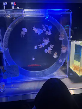 名古屋港水族館に投稿された画像（2026/2/11）