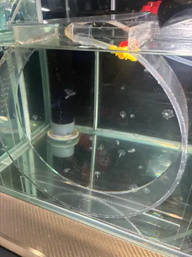 名古屋港水族館に投稿された画像（2026/2/11）