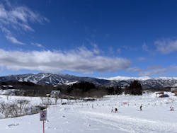 牧歌の里に投稿された画像（2026/2/11）