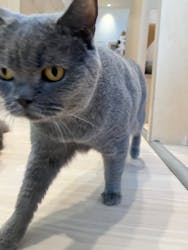 Cat Café MOFF 名古屋PARCO店に投稿された画像（2026/2/11）