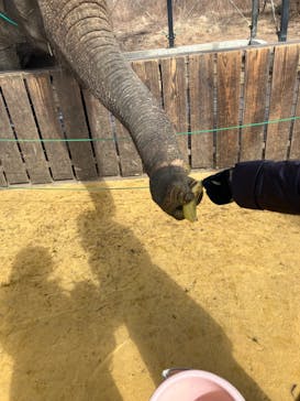 那須ワールドモンキーパークに投稿された画像（2026/2/11）