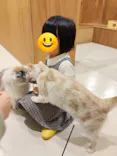 Cat Café MOFF つかしん店に投稿された画像（2026/2/11）