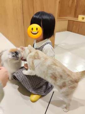 Cat Café MOFF つかしん店に投稿された画像（2026/2/11）