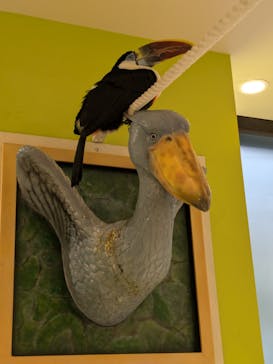 アニタッチ 東京ドームシティに投稿された画像（2026/2/11）