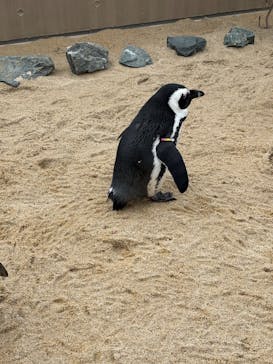 マリンワールド海の中道に投稿された画像（2026/2/11）