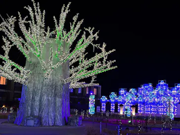 ラグーナテンボス ラグナシアに投稿された画像（2026/2/11）