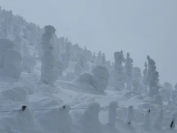 蔵王ロープウェイに投稿された画像（2026/2/11）