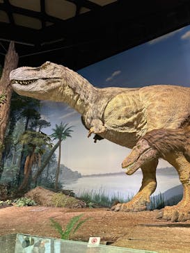ミュージアムパーク茨城県自然博物館に投稿された画像（2026/2/11）