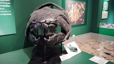 特別展「大絶滅展―生命史のビッグファイブ」に投稿された画像（2026/2/11）