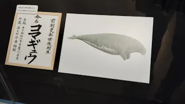 特別展「大絶滅展―生命史のビッグファイブ」に投稿された画像（2026/2/11）