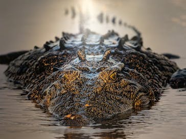 国立科学博物館に投稿された画像（2026/2/12）